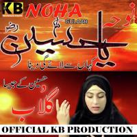 Noha Gulaab Song Download Mp3