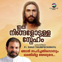 Njan Sahichathinonnum Fr. Shaji Thumpechirayil Song Download Mp3