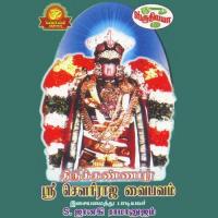 Thirukannapura Sri Sowriraja Vaibhavam songs mp3