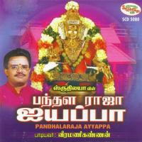 Pandhala Naattin Veeramani Kannan Song Download Mp3