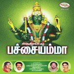 Omsakthithaye Pachaiamma T.M.S. Selvakumar Song Download Mp3