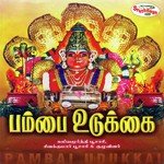 Paavadai Rayan T.P. Kaliyamoorthy Poosari,K. Sivakumar Song Download Mp3