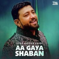 Aa Gaya Shaban Syed Haider Zaidi Song Download Mp3