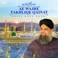 Ae Wajhe Takhliqe Qainat Alhajj Muhammad Owais Raza Qadri Song Download Mp3