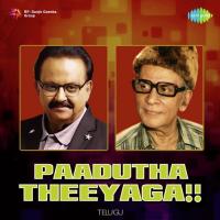Neeli Kannula Needalona (From "Gudi Gantalu") P. B. Sreenivas,P. Susheela Song Download Mp3