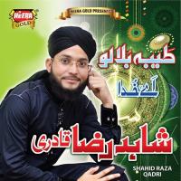 Pata Kiya Hai Shahid Raza Qadri Song Download Mp3