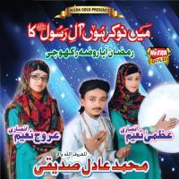 Main Nokar Hun Aal-E-Rasool Ka songs mp3