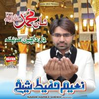 Shan-E-Muhammad Sallallah songs mp3