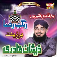 Rang-E-Raza songs mp3