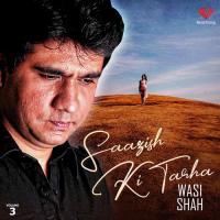 Paas Kuch Bhi Nahin Wasi Shah Song Download Mp3