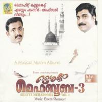 Anhu Kanda Kanavil Afsal Song Download Mp3