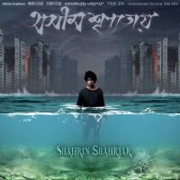 Durer Thikanay Shahrin Shahriar Song Download Mp3