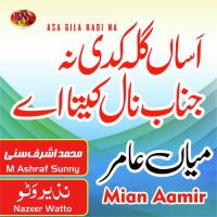 Asa Sari Sari Raat Mian Aamir Song Download Mp3