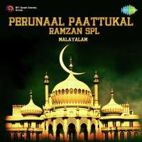 Naadhapuram Palliyele (From "Thacholi Ambu") Vani Jayaram Song Download Mp3