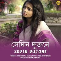 Sedin Dujone Krishnakali Saha Song Download Mp3