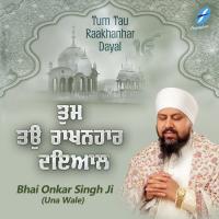 Jini Tudhno Dhan Kaheya Bhai Onkar Singh Ji (Una Wale) Song Download Mp3