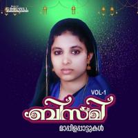 Bismi Vol. 1 songs mp3