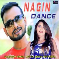 Nagin Dance Sandeep Singh,Antra Singh Priyanka Song Download Mp3