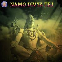 Namo Divya Tej songs mp3