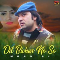 Dil Bichar Ne Se Imran Ali Song Download Mp3