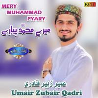 Qismat Mai Meri Umair Zubair Qadri Song Download Mp3