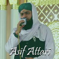 Palkein Kya Hai Kadmo Mein Asif Attari Song Download Mp3
