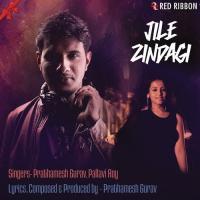 Jile Zindagi Prathamesh Gurav,Pallavi Roy Song Download Mp3