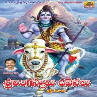 Sri Linga Swami Deevenalu songs mp3
