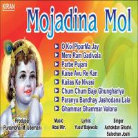 Paranyu Bandhay Jashodana Lala Ashokdan Ghadvi,Sulochana Joshi Song Download Mp3