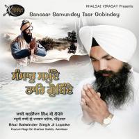 Dhukh Bhanjan Tera Naam Bhai Bawinder Singh Lopoke Song Download Mp3