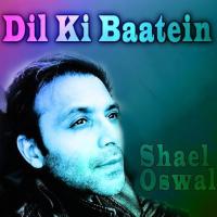 Dil Ki Baatein Shael Oswal Song Download Mp3