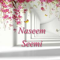 Main Taan Chori Chori Naseem Sami Song Download Mp3