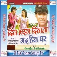Dil Bhail Diwana Gadahiya Par songs mp3