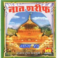Ali Ki Shan Zinda Hai Hajrat Hunar Plamwi Song Download Mp3