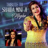 Tribute To Shaida Mini Ji Megha Song Download Mp3