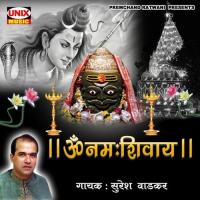 Om Namah Shivay songs mp3