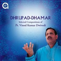 Dhrupad - Dhamar songs mp3