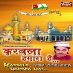Karbala Hamara Hain songs mp3