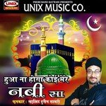 Huaa Na Hoga Koi Meray Nabi Sa songs mp3