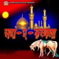 Sda Ey Karbala songs mp3