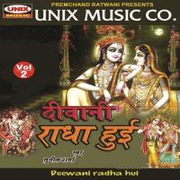 Deewani Radha Hui, Vol. 2 songs mp3