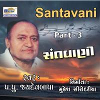 Santavani, Pt. 3 P. P. Jaydevbapa Song Download Mp3