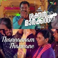 Thannannam Thannane Geetha Sedhudas Song Download Mp3