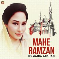 Nahin Koi Zamaney Main Hamara Ya Rasool Allah Humaira Arshad Song Download Mp3
