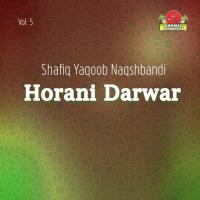 Allah Allah Subhanallah Shafiq Yaqoob Naqshbandi Song Download Mp3