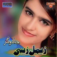Azmaefen Nan Kul Zeemal Zaibi Song Download Mp3
