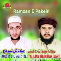 Hazaara Parein Maulana Gulshair Taaj Song Download Mp3