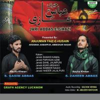 Ek Din Mein Ghar Ujad Gaya S. Qasim Abbas,S. Zaheer Abbas Song Download Mp3