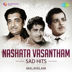 Thirayum Theeravum (From "Aval Viswasthayayirunnu") K.J. Yesudas Song Download Mp3