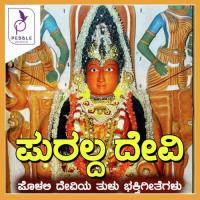 Namo Namo Rajeshwariye S P Balasubramanyam,Ajay Wariyar,Narasimhanayak,Sangeetha Balachandra,B R Chaya,Archana Udupa,Sureka Song Download Mp3